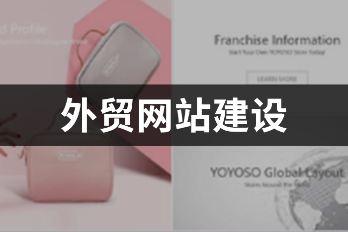外贸网站建设