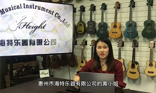 惠州市海特乐器有限公司