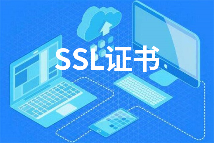 外贸网站建设