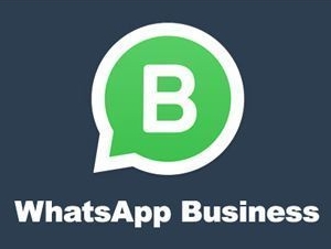解锁商业潜力-WhatsApp商业版功能使用